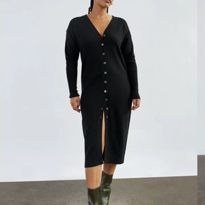 Aritzia Wilfred Utopia Dress